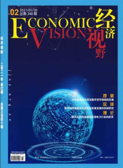经济视野